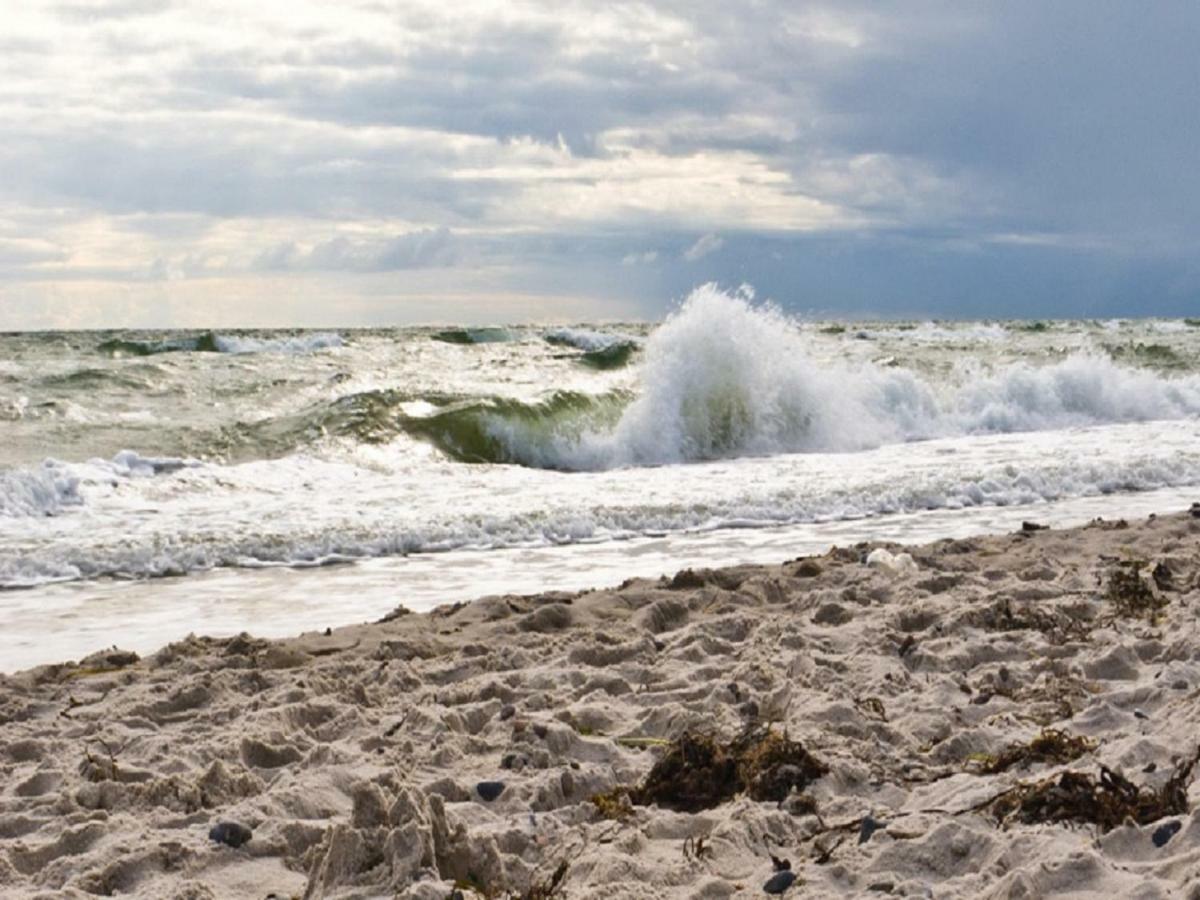 Tu Hus In Linde Eck Villa Zingst Ngoại thất bức ảnh